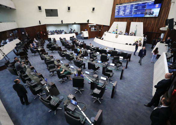 Inédito, Código Estadual do Autismo reforça protagonismo da Assembleia em benefício à comunidade com TEA
