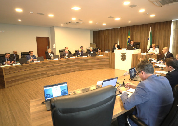 Assembleia debate com setor produtivo a desestatização da Ferroeste