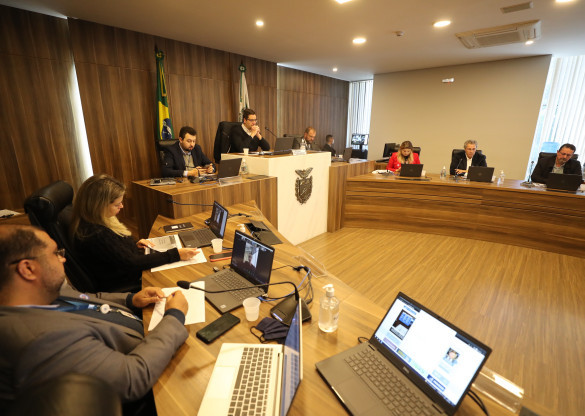 Audiência mostra panorama da geração de empregos no Paraná durante pandemia