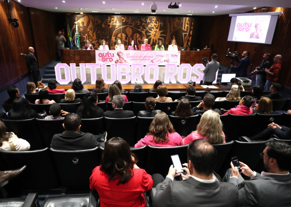 Audiência Pública “Juntas na Luta Contra o Câncer de Mama” marca o Outubro Rosa na Assembleia Legislativa