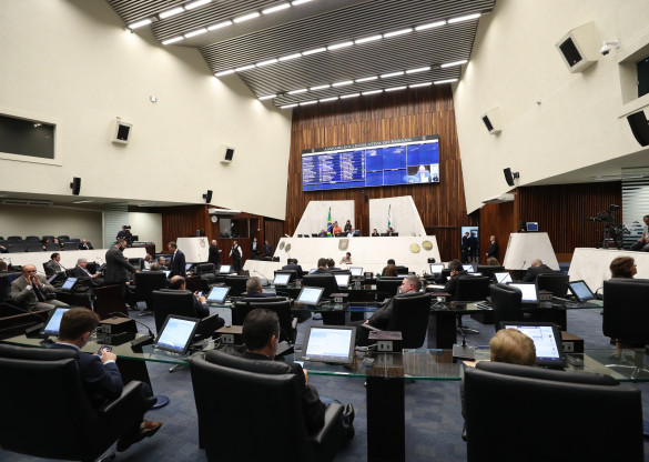 Assembleia volta a apreciar criação do aplicativo “Salve Maria”