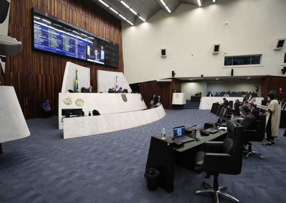 Projeto que cria a Semana de Conscientização Contra o Abandono de Animais avança na Assembleia