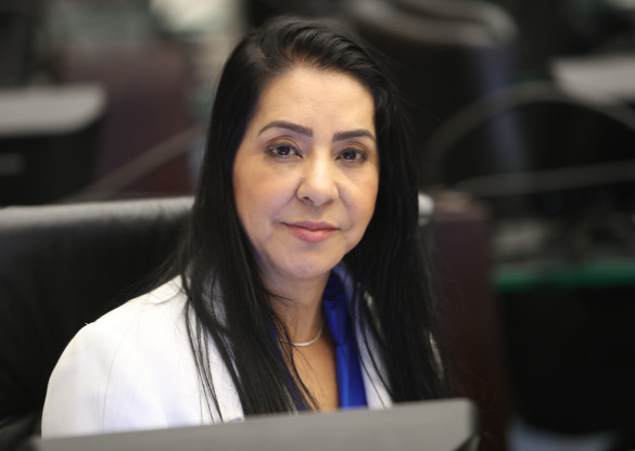 Projeto que cria o aplicativo “Salve Maria” começa a ser votado na sessão plenária de segunda-feira (17)