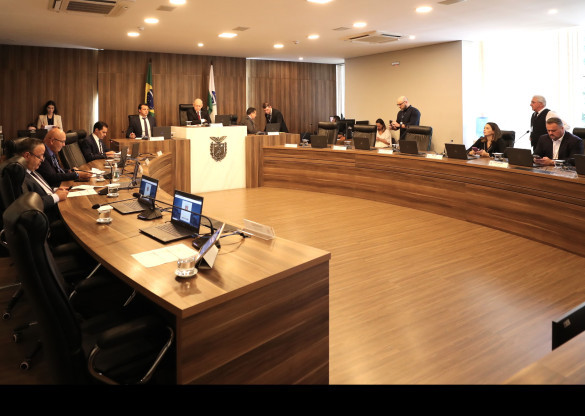 Em reunião extraordinária, CCJ aprova proposta que prevê modernizações na estrutura da Agepar