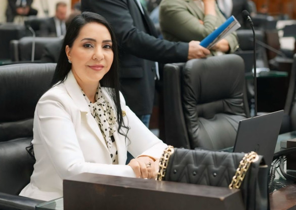 Projeto de lei visa garantir assistência multiprofissional a mulheres dependentes do álcool