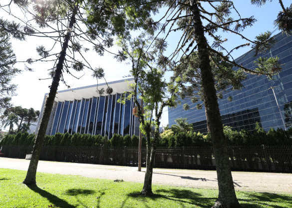Agenda da Assembleia terá debates sobre proteção às mulheres, hidrogênio renovável e comunidades tradicionais do litoral