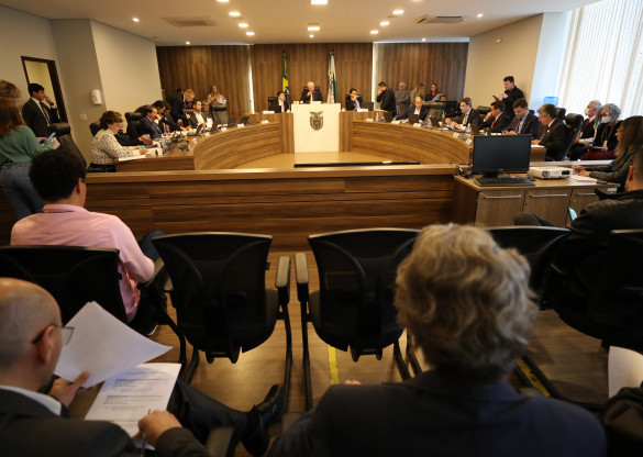 CCJ inicia debate de projeto que permite condução de animais no transporte coletivo