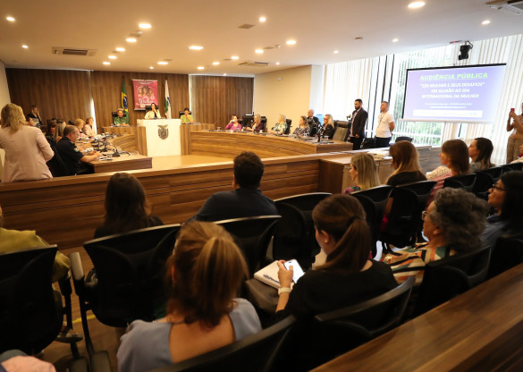 Audiência pública aprofunda debate sobre múltiplos desafios das mulheres