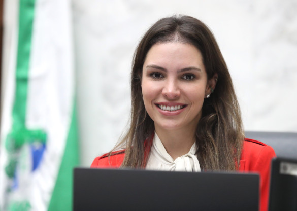 Paraná conquista projeto estratégico de hidrogênio renovável, destaca deputada Maria Victoria (PP)