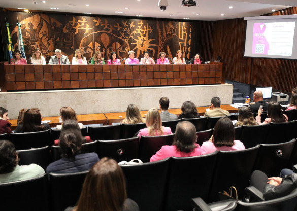 Audiência Pública, Grande Expediente e exposição fotográfica abrem o Outubro Rosa na Assembleia Legislativa