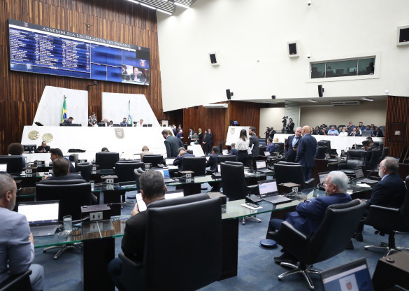 Aprovado Programa Paraná Amigo da Pessoa Idosa de atendimento e concessão de bolsas para público 60+ e cuidadores