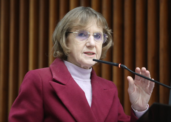 Bloco da Agricultura Familiar promove reunião sobre cultivo agroecológico da erva-mate sombreada