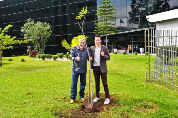 Jardim da Assembleia Legislativa recebe muda de Pau-Brasil