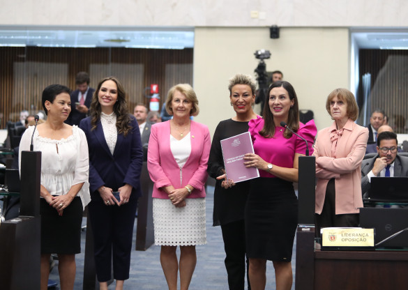Código da Mulher Paranaense é aprovado na Assembleia Legislativa