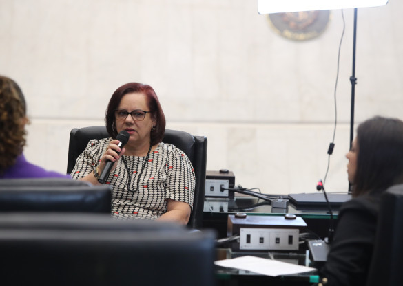 Participação de toda sociedade é vital para coibir violência contra mulher