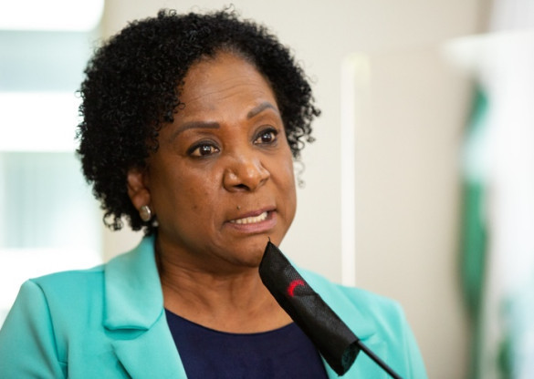 Deputada Luciana Rafagnin (PT) propõe voto de congratulações à jornalista Dulcineia Novaes