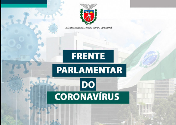 Frente Parlamentar do Coronavírus apresenta balanço das atividades em 2020
