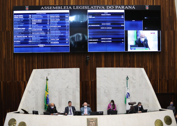 Agressores serão obrigados a arcar com despesas veterinárias de animais vítimas de maus-tratos