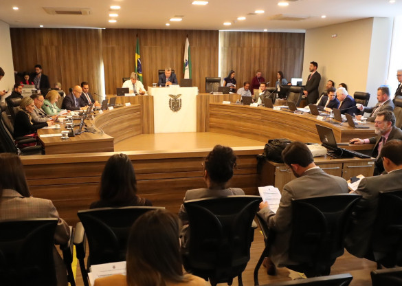 CCJ aprova projeto que institui bolsas que visam dar independência econômica para pessoa idosa