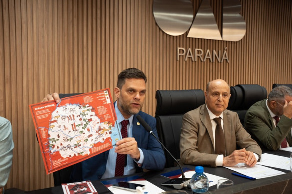 Questão indígena merece tratamento prioritário diz deputado Goura (PDT) em seminário na OAB-PR