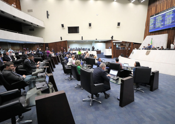Assembleia aprova projeto de acolhimento às mulheres vítimas de violência