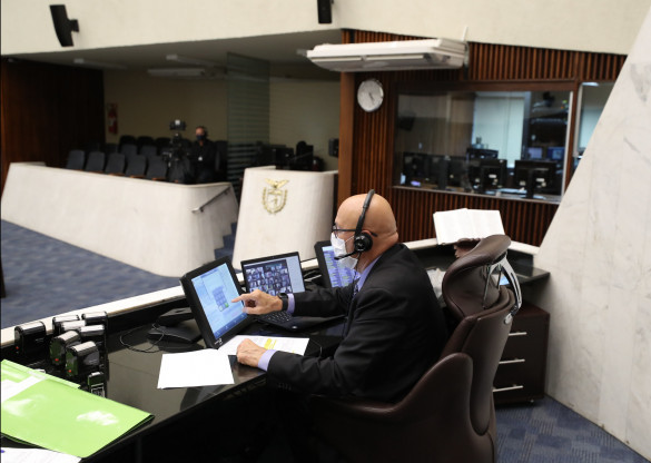 Deputados aprovam projeto que estabelece novas regras para estimular plantio e exploração da araucária