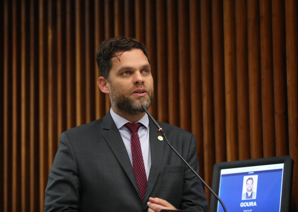 Assembleia aprova projeto que cria programa estadual de conservação de grandes felinos no Paraná