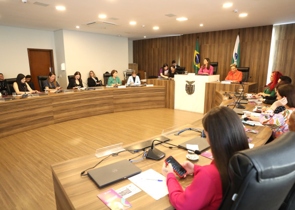 Combate à violência política contra as mulheres é tema de reunião na Assembleia Legislativa