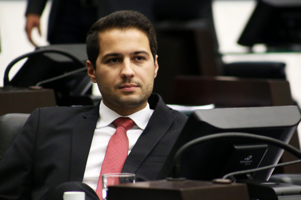 Deputado Paulo Litro protocola projeto para que agressores de animais arquem com as despesas de assistência e tratamento veterinário