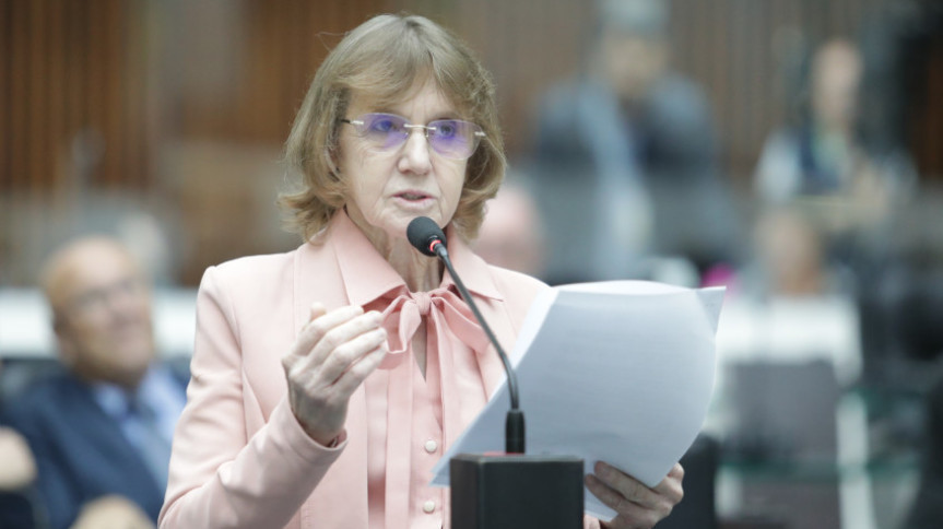 Deputada Luciana Rafagnin (PT).