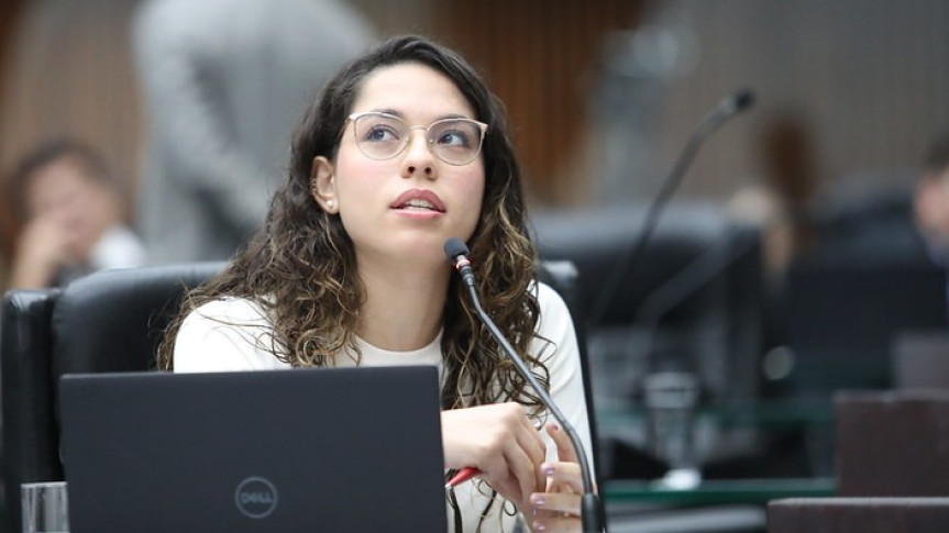 A deputada Ana Júlia (PT) coordena a Frente Parlamentar de Proteção à Saúde Mental da Assembleia.
