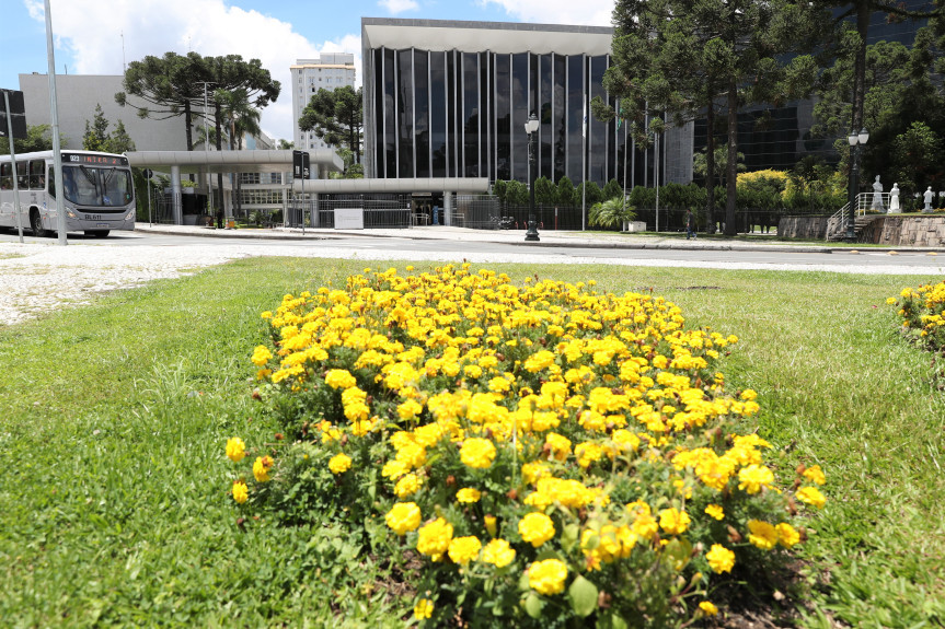 Estudantes do Colégio Estadual Maria Heloisa Casseli visitam a Assembleia