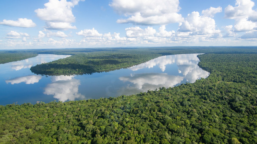 Deputado Goura (PDT) apresenta projeto de lei para eliminar espécies invasoras na bacia do Rio Iguaçu