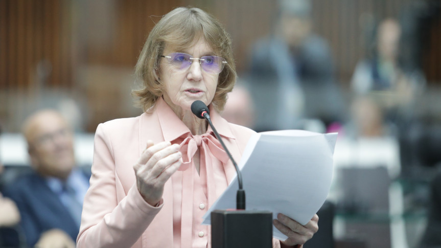 Deputada Luciana Rafagnin (PT).