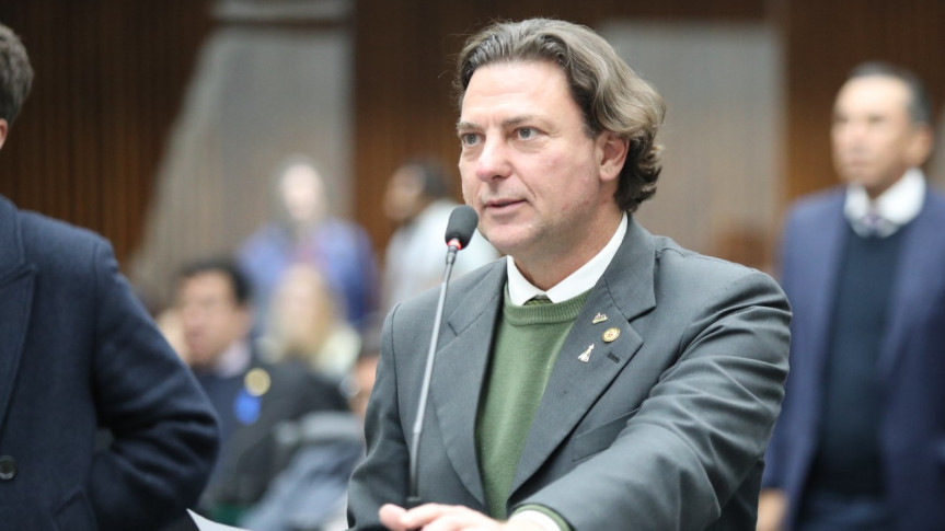 Deputado Anibelli Neto (MDB).