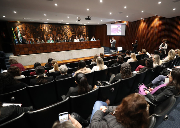 Audiência Pública reforça ações de combate à violência contra a mulher no Paraná