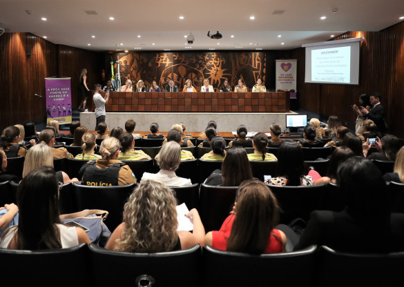 Assembleia homenageia mulheres que atuam na segurança pública do Estado