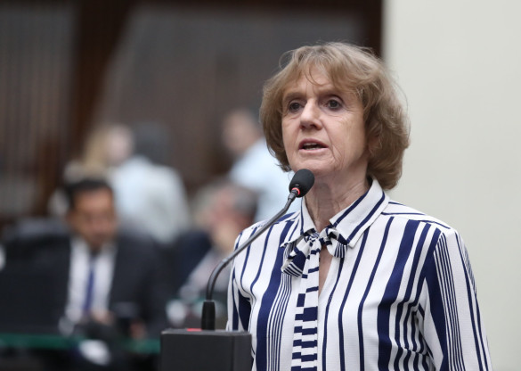Deputada Luciana Rafagnin (PT) apresenta Moção de Apoio à Ministra Marina Silva após ataques misóginos no Senado