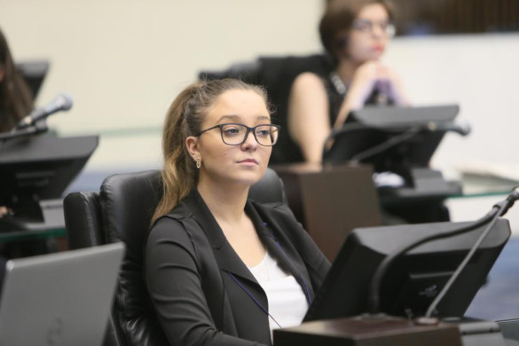 Deputados do Parlamento Universitários falam da expectativa com os trabalhos no Plenário