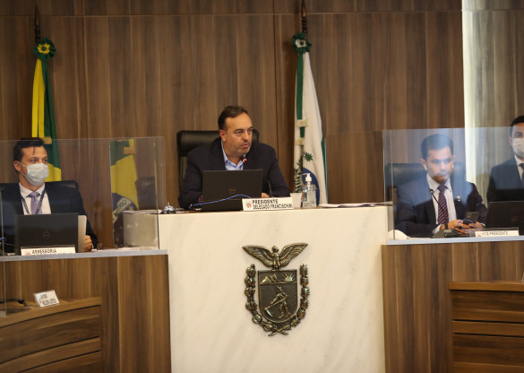 Discussão da admissibilidade da PEC do espanhol é adiada na CCJ