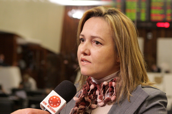 Marla Tureck propõe instalação de guarda-volumes em bancos