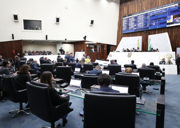 Aprovada por unanimidade proposta para acolhimento e proteção dos órfãos do feminicídio