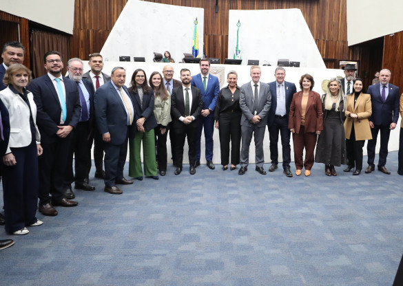 Parceria entre Assembleia Legislativa e Defensoria Pública do Paraná é destacada durante Grande Expediente