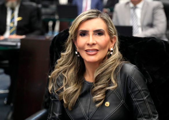 Deputada Flávia Francischini (União) é eleita a primeira vice-presidente da história da Assembleia Legislativa