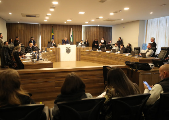 CCJ inicia debate de criação de proposta que repassa bens a organizações de amparo a pessoas vulneráveis