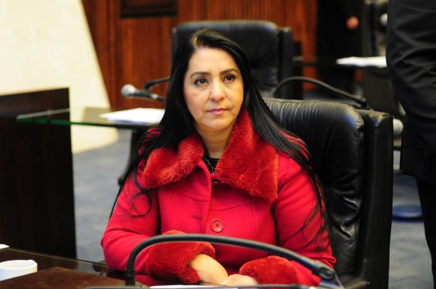 Deputada Mara Lima (PSDB).