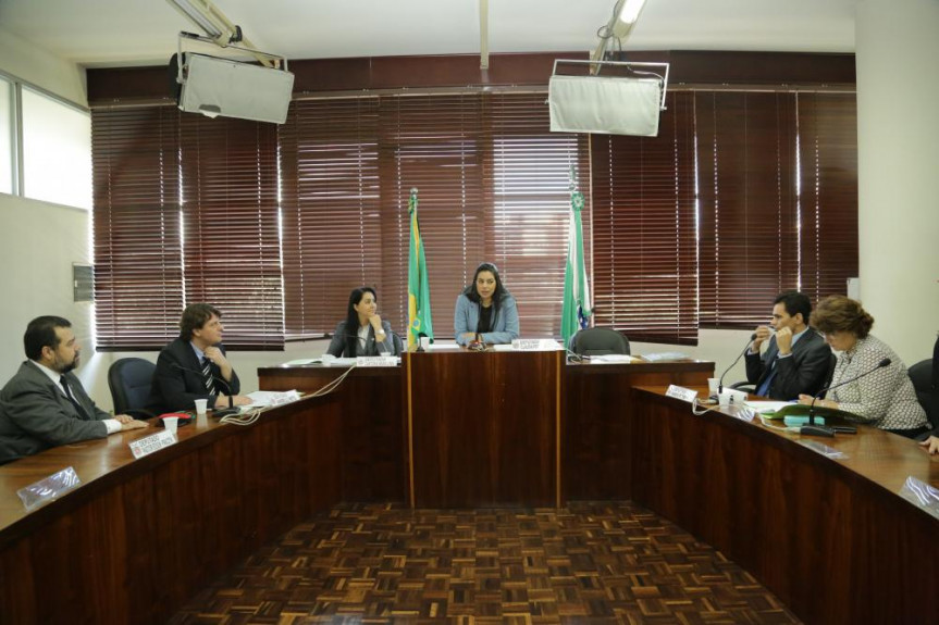 Comissão de Defesa dos Direitos da Criança, do Adolescente e do Idoso. 28/03/2017