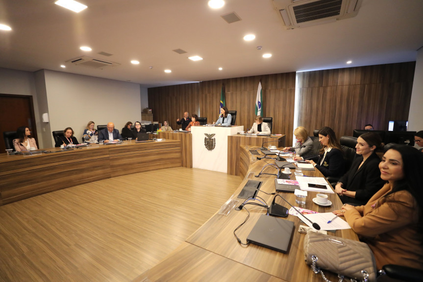 Desafios vividos pela mulher no climatério são abordados em audiência na Assembleia Legislativa do Paraná