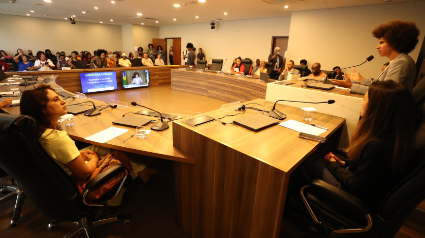 Presidente da Comissão de Igualdade Racial, deputado Renato Freitas (PT) comandou a audiência.