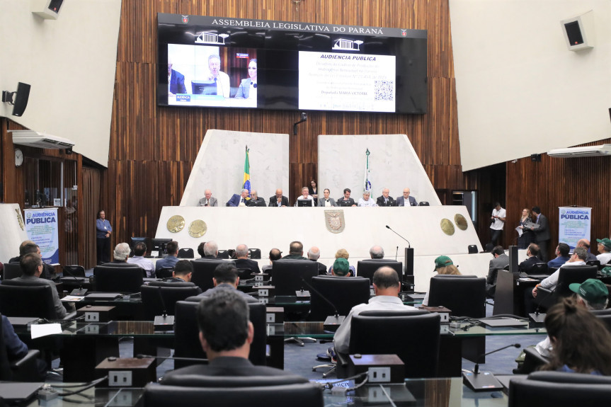 A audiência acontece no Plenário da Assembleia Legislativa na manhã desta segunda-feira (25).